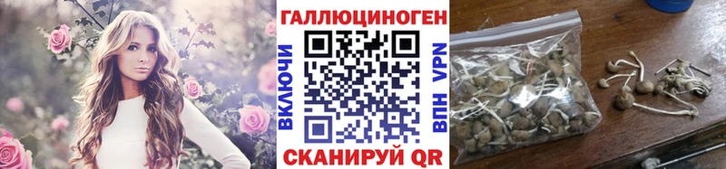 Псилоцибиновые грибы ЛСД Амурск