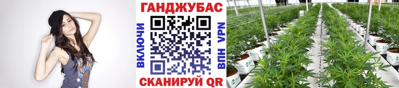 купить наркотики цена  Амурск  Каннабис OG Kush 